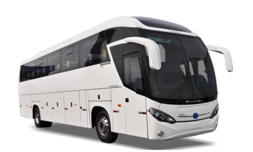 BUS BUS
