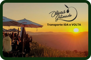 capa olivas (2)